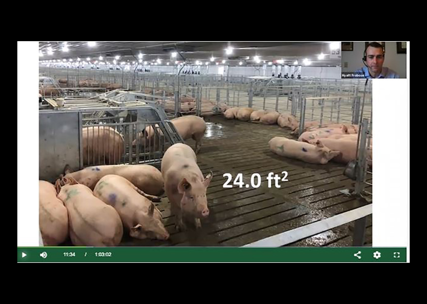 Proposition 12 Pressures Aren’t Going Away Pork Business